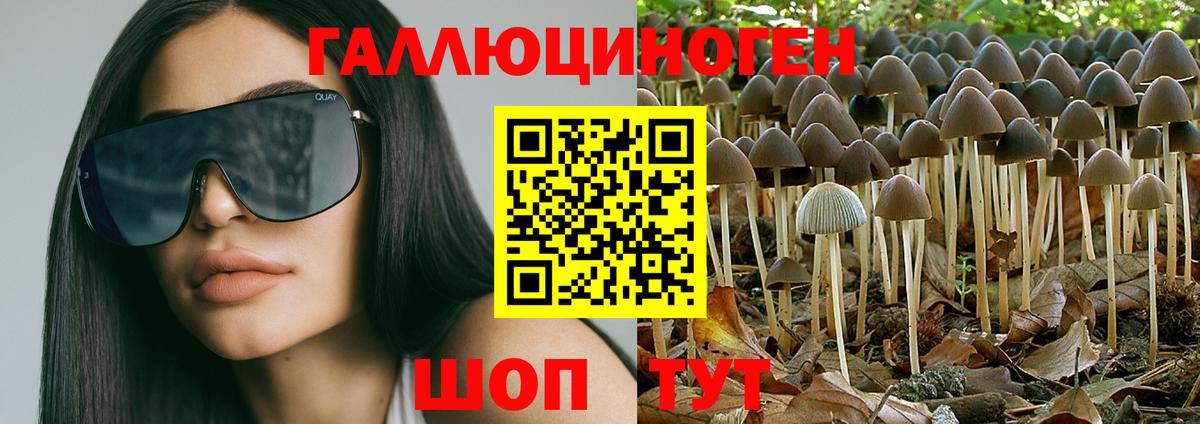 Костомукша  Псилоцибиновые грибы ЛСД  Вход с VPN 